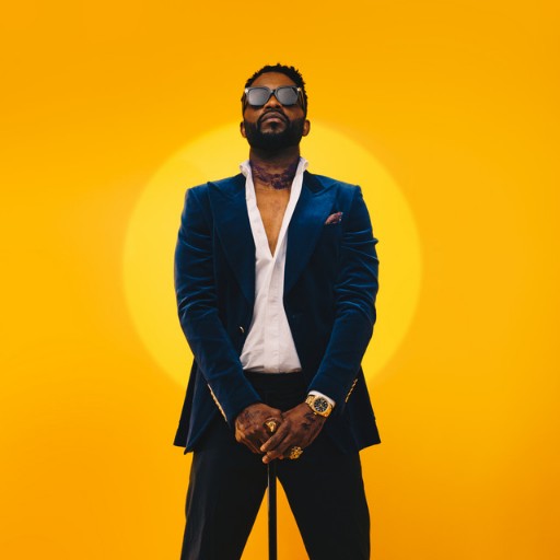 Fally Ipupa Louisville Tickets