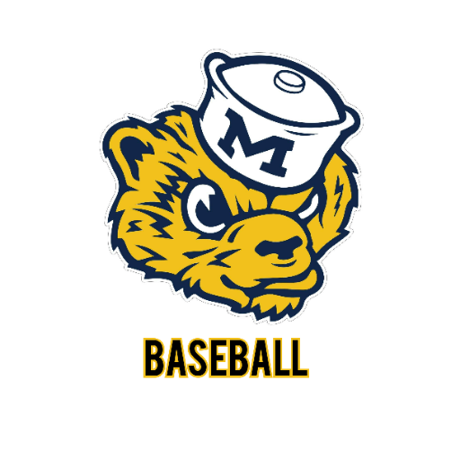 Michigan Wolverines Baseball Tickets