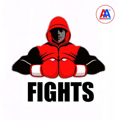 305 Fights Tickets
