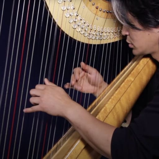 Open Harp Workshop Louisville Concert Tickets