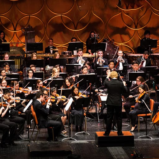 Sibelius First Symphony Louisville Tickets