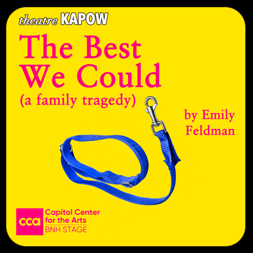 Theatre KAPOW: The Best We Could Louisville Tickets