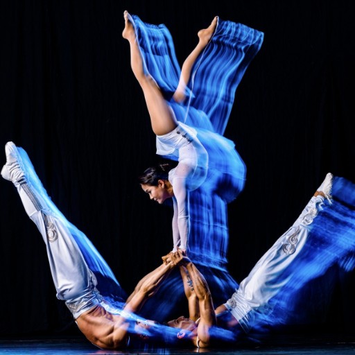 Troupe Vertigo Louisville Tickets