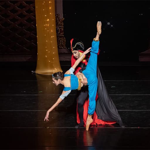 Virginia National Ballet Tickets